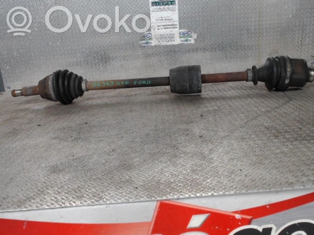 Priekšējā pusass   1537956