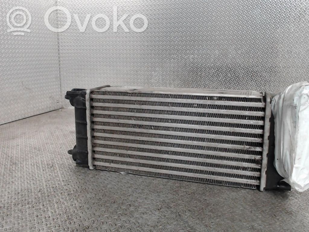 Interkūlerio radiatorius   00000384N9