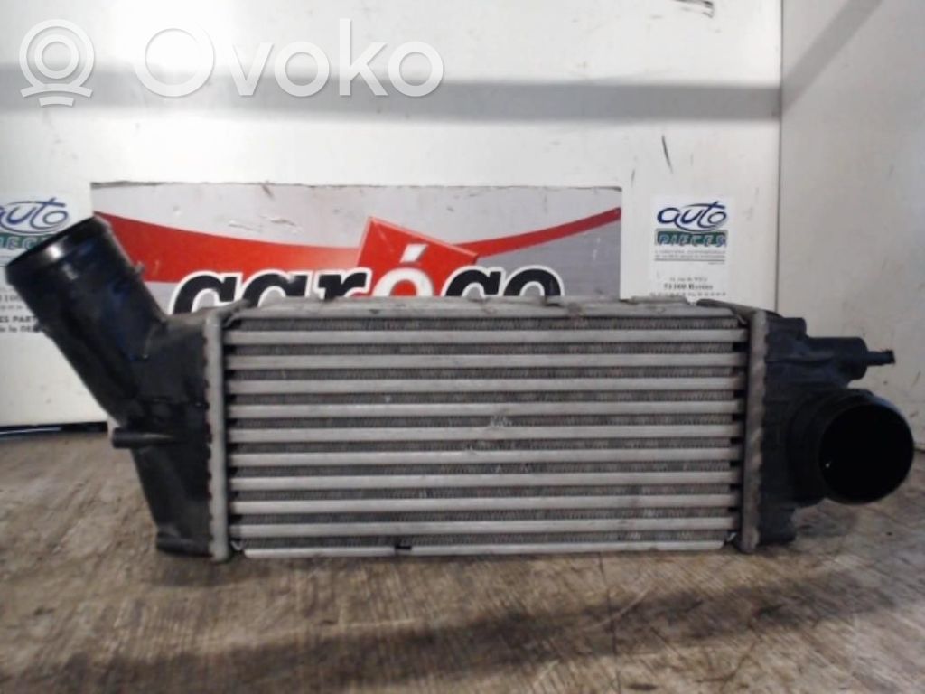 Interkūlerio radiatorius   0384G4