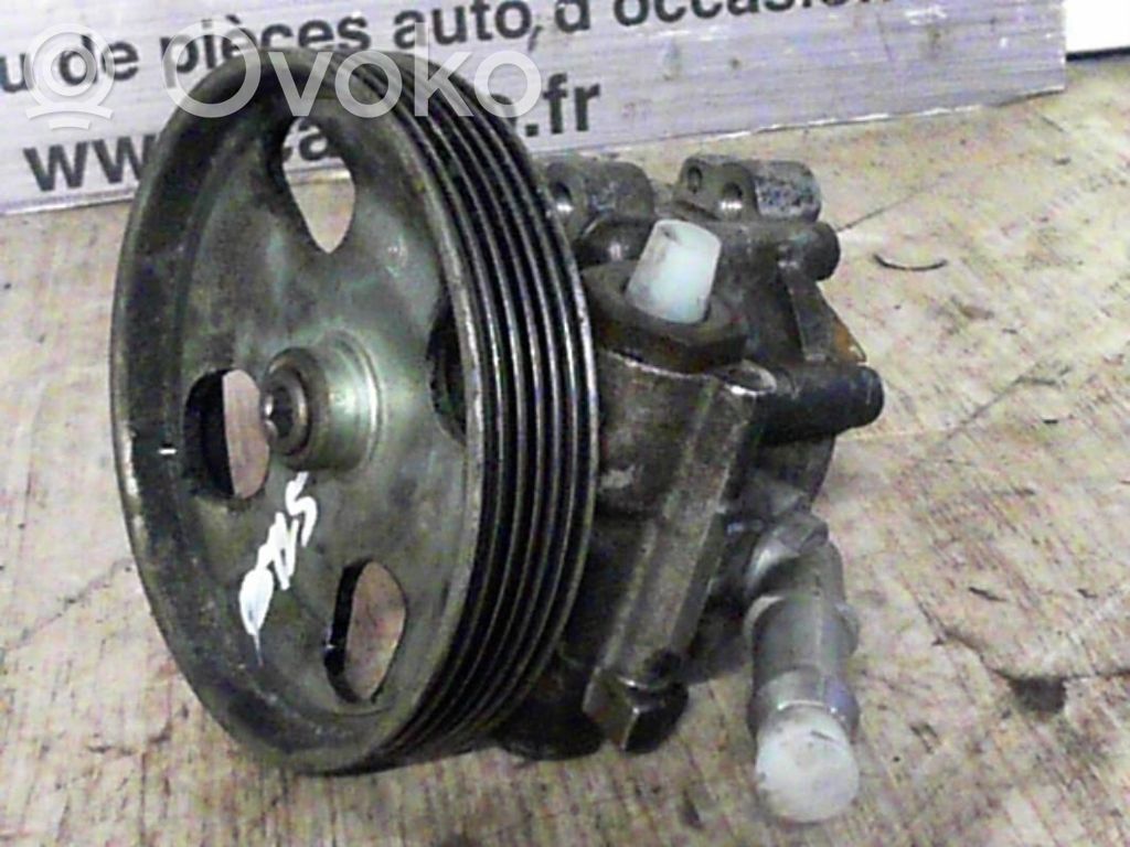 Power steering pump   4007EA
