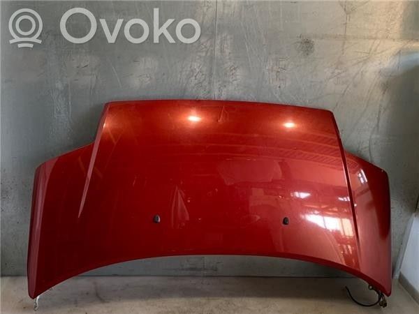 Motorhaube   7901K2,CI3043100