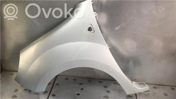 Renault Kangoo I Guardabarro 