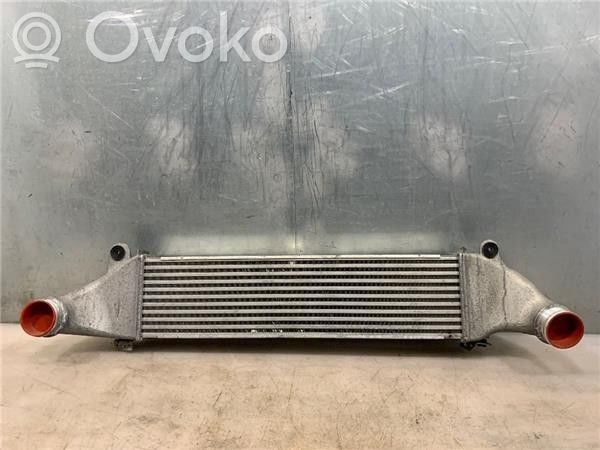 Interkūlerio radiatorius   8V0145803A,DIT02029
