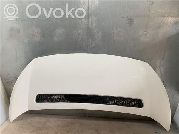 Engine bonnet/hood   7901N1