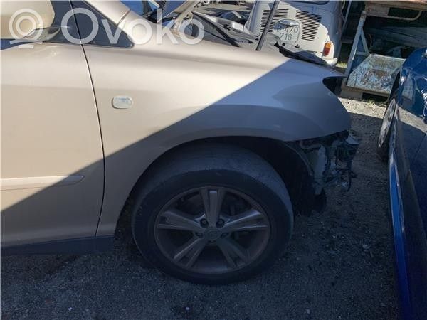 Lexus RX 450H Guardabarro 
