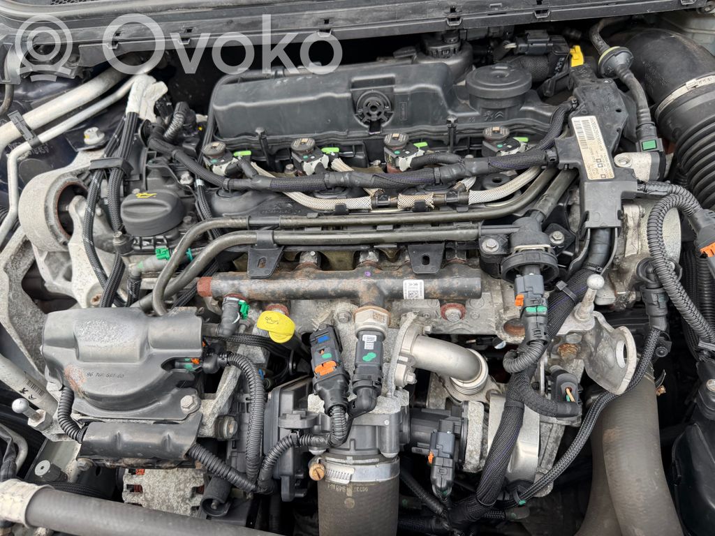 Motor   DW10FD