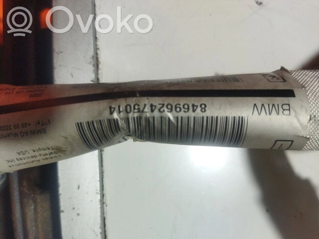 Airbag del techo   846962475014