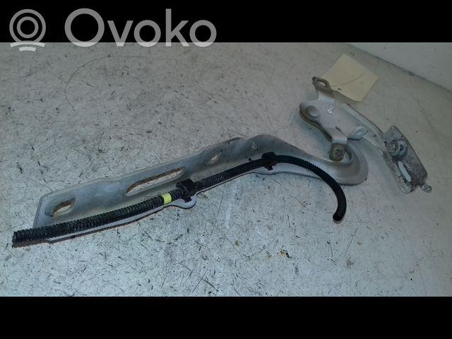 Peugeot Expert Engine bonnet/hood hinges 