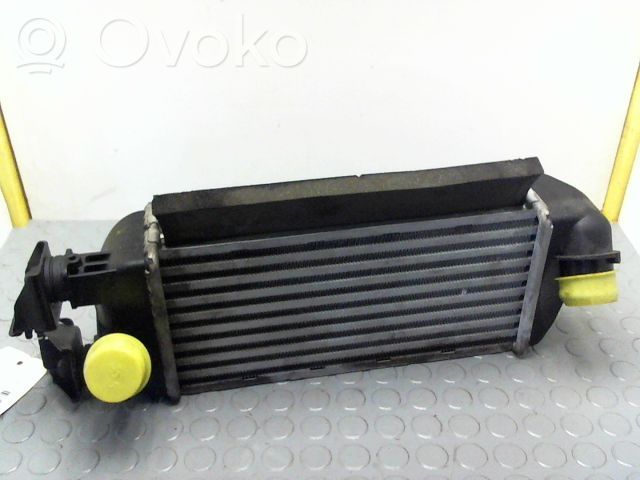 Ford Ka Interkūlerio radiatorius 