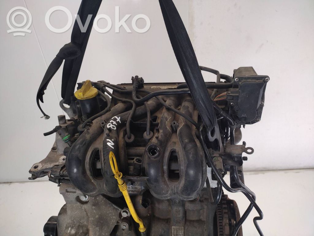 Motor   D7F800,D7F800