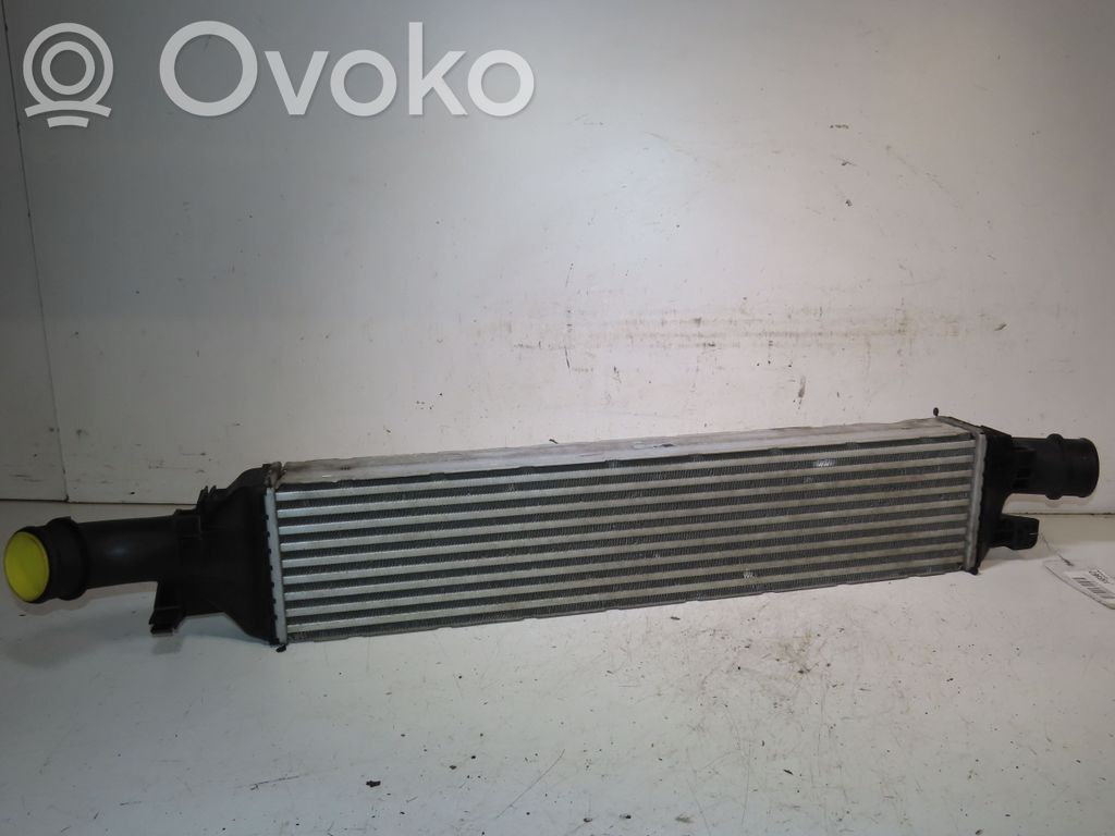 Audi Q3 8U Interkūlerio radiatorius 