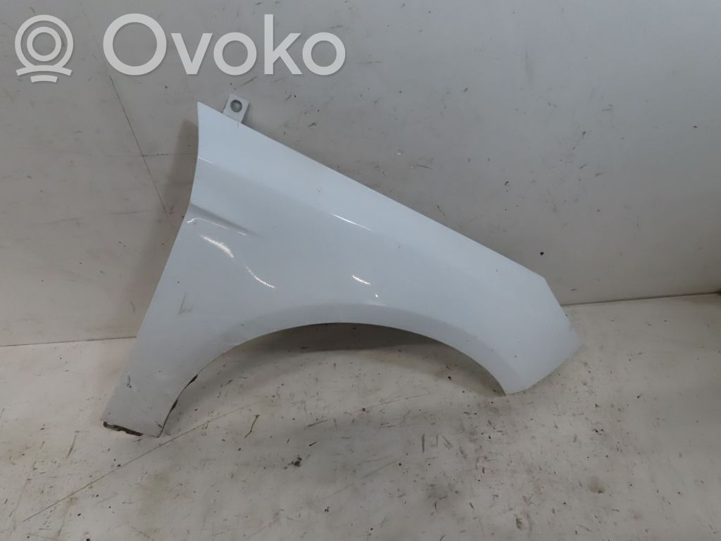 Fender   2171302
