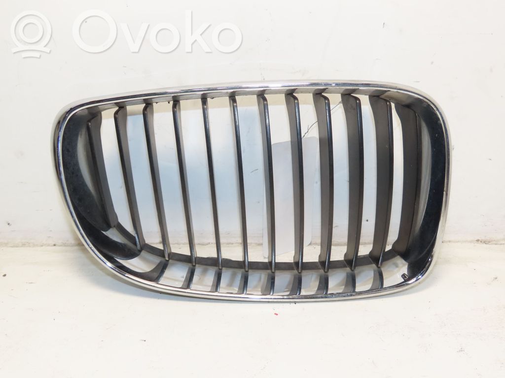 Kühlergrill   51137166440