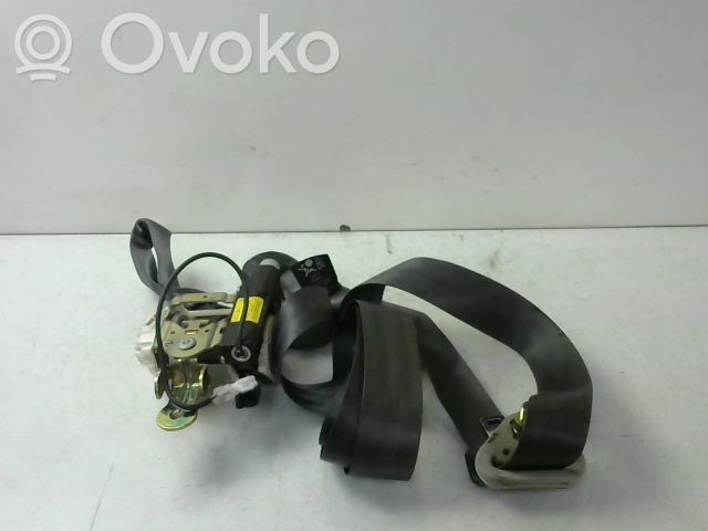 Cinturón delantero   8200684005
