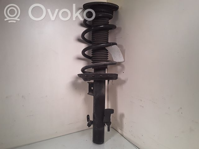 Land Rover Range Rover Evoque L538 Ammortizzatore anteriore 