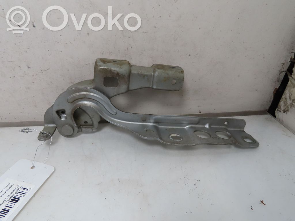 Konepellin saranat   791351