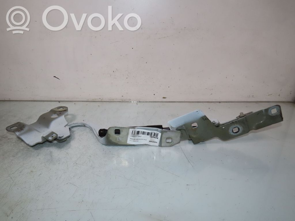 Renault Zoe Balamale capotă 