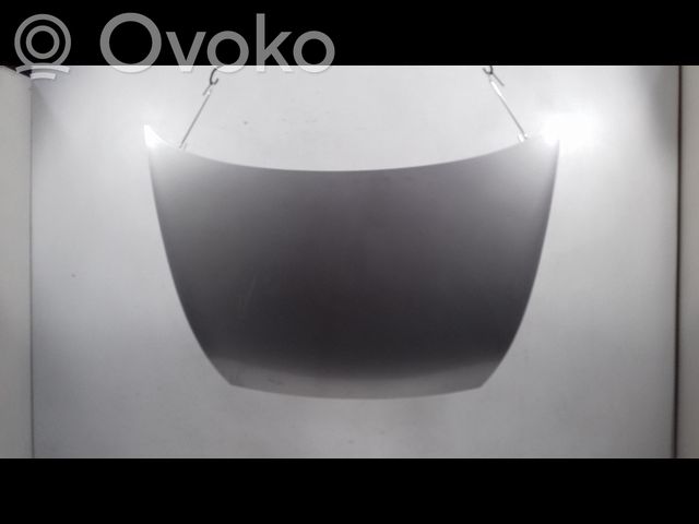 Engine bonnet/hood   1030670
