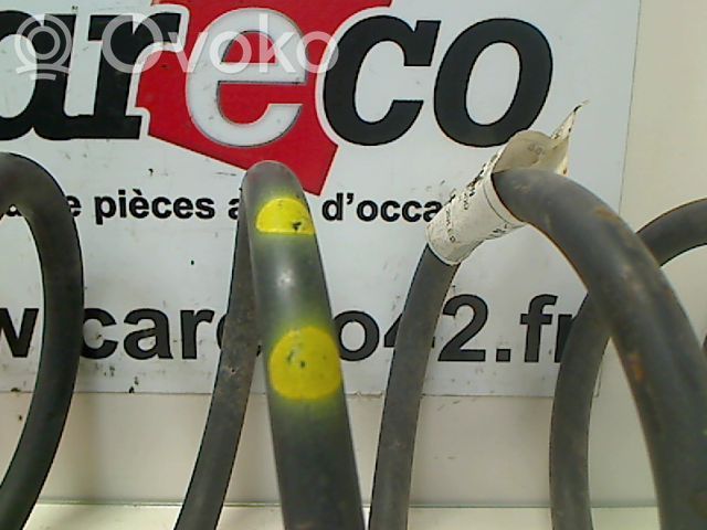 Muelle espiral trasero
