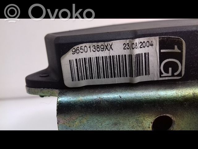 Citroen C5 Cinturón delantero 