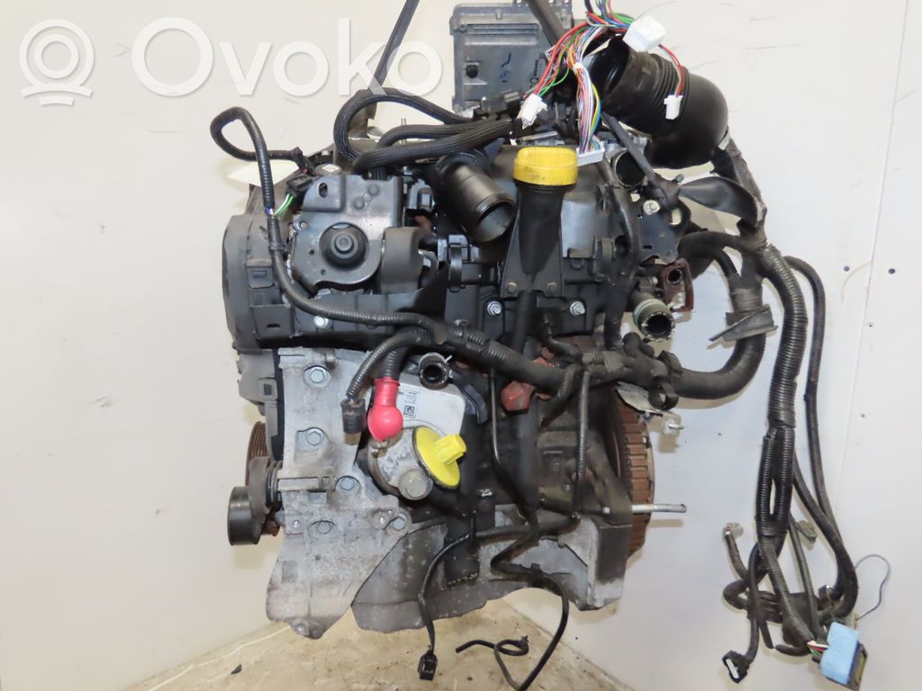Moteur   1010201Q4D