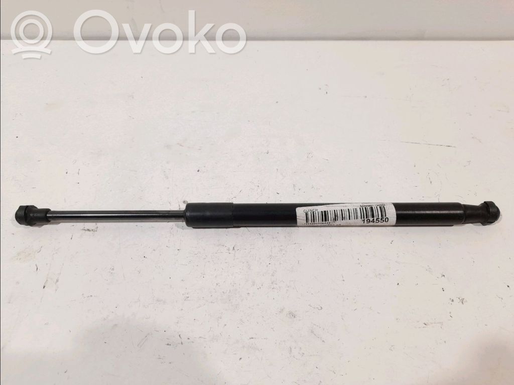 Tailgate/trunk strut/damper   51247129194