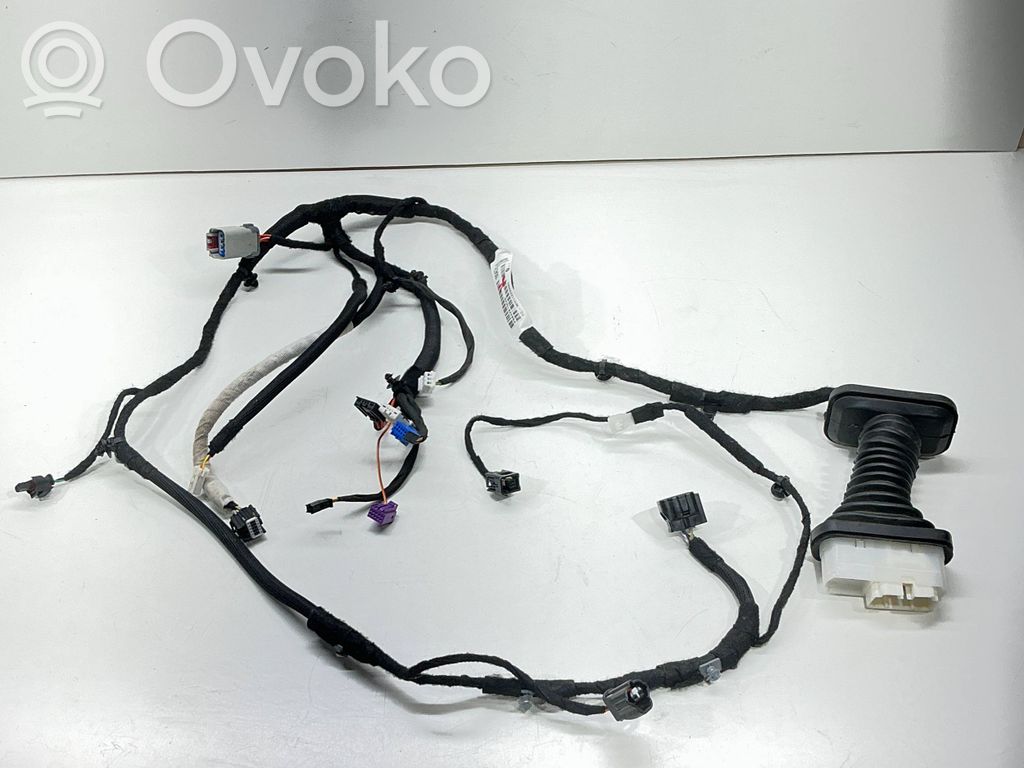 Dodge Challenger Cableado de puerta trasera 