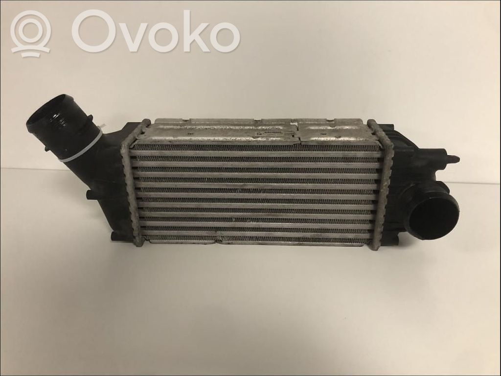 Radiador intercooler   00000384G4