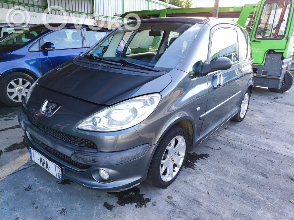 Peugeot 1007 Engine control unit/module 