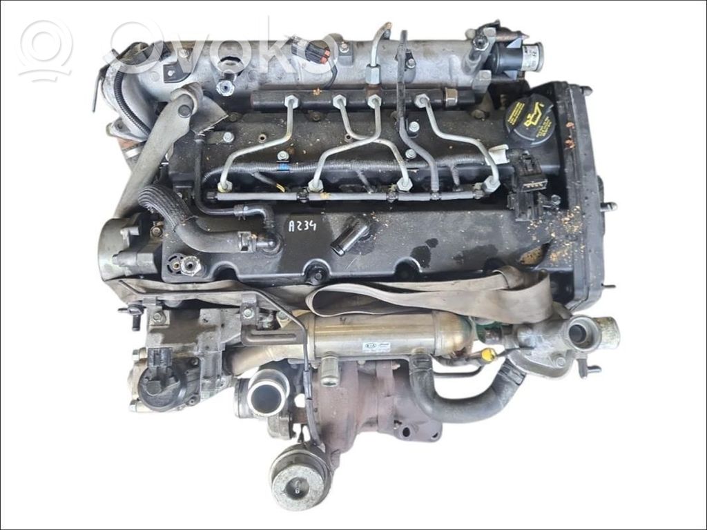KIA Carnival Variklis 