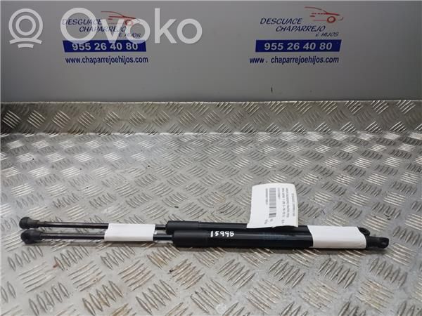 BMW 1 F20 F21 Amortiguador del maletero/compartimento de carga 