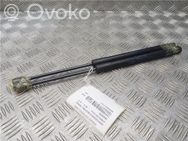 Citroen DS5 Tailgate/trunk/boot lid buffer 