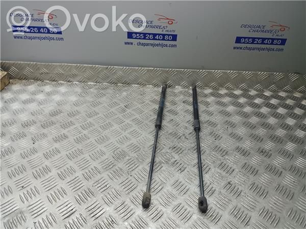 Mini One - Cooper R50 - 53 Tampon hayon/capotă portbagaj