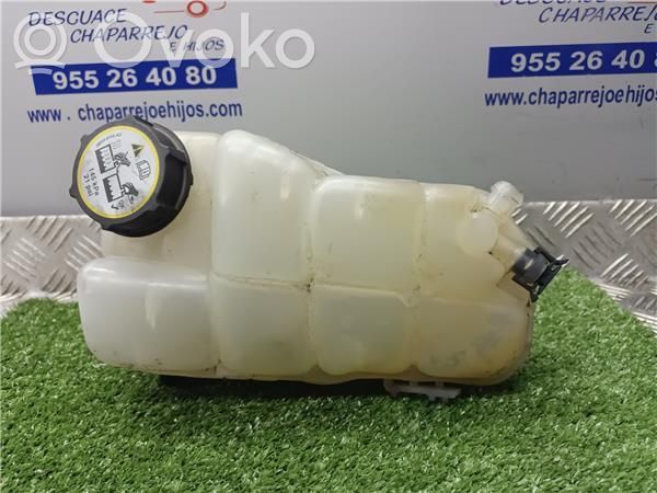 Volvo S40 Vas expansiune combustibil 
