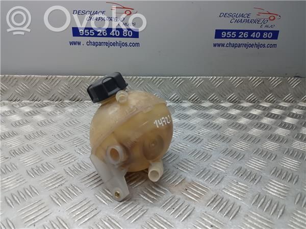 Peugeot 5008 Vaso di espansione carburante