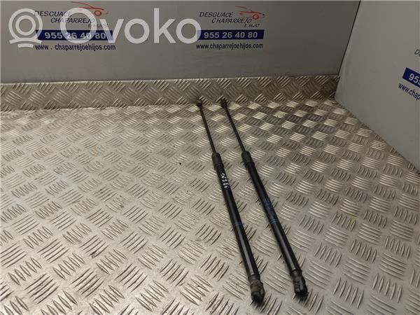Amortiguador del maletero/compartimento de carga   315005777