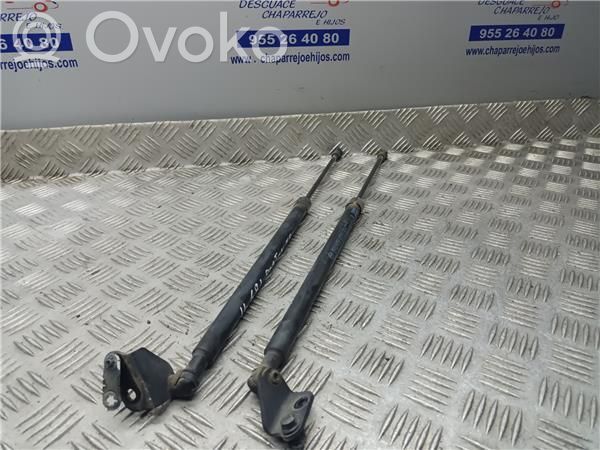 Tailgate/trunk/boot lid buffer
