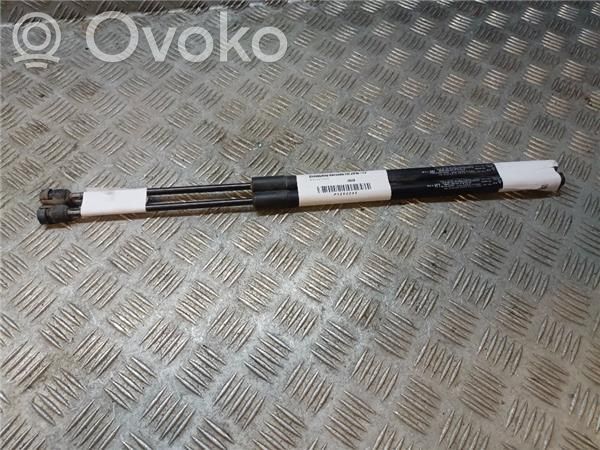 Tailgate/trunk/boot lid buffer