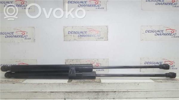 Dacia Sandero Tampon hayon/capotă portbagaj 