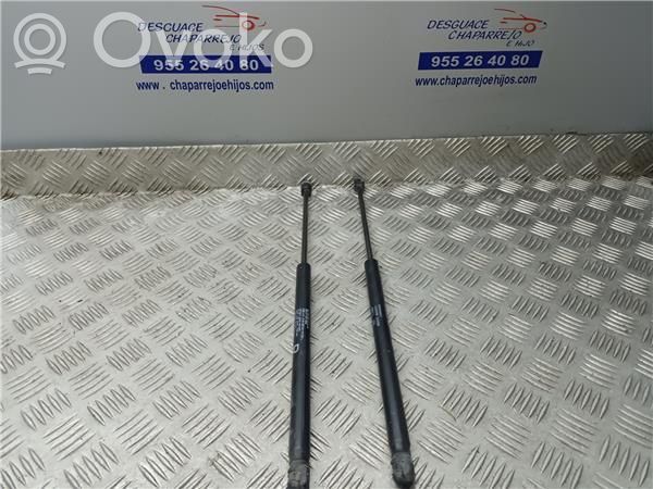 Amortiguador del maletero/compartimento de carga   5802A008
