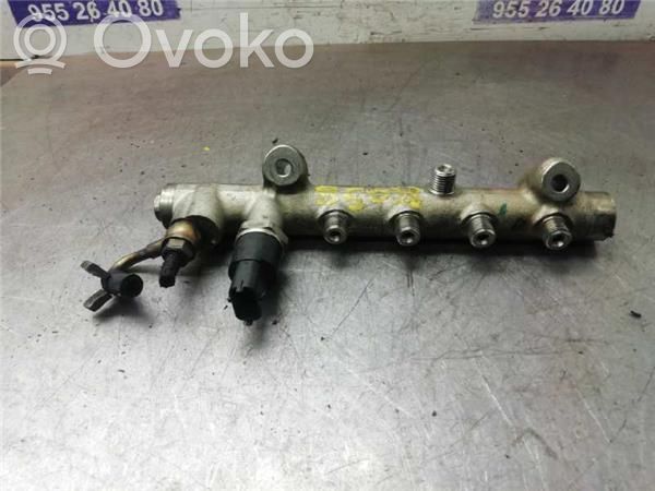 Opel Meriva B Rampa inyectora 