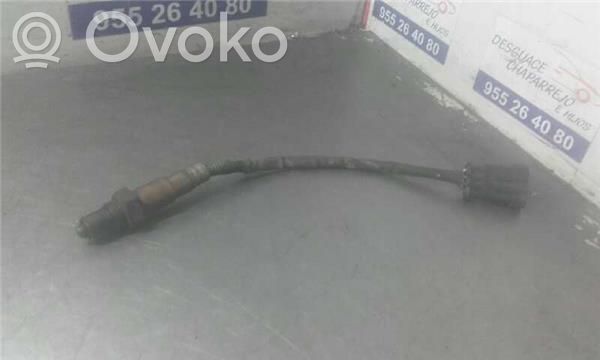 Sonde lambda   258006206