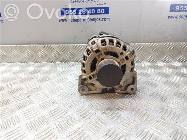 Generator/alternator   231008593R