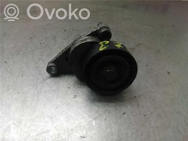 Citroen C4 I Tendicinghia generatore/alternatore 