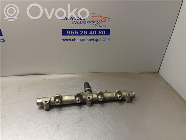 Citroen C5 Rampa inyectora 