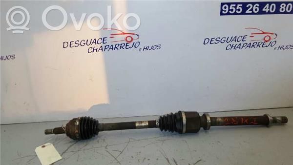 Eje delantero   8200261841