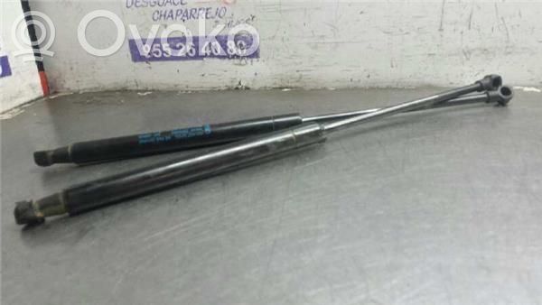 Ford Ka Tailgate/trunk/boot lid buffer 