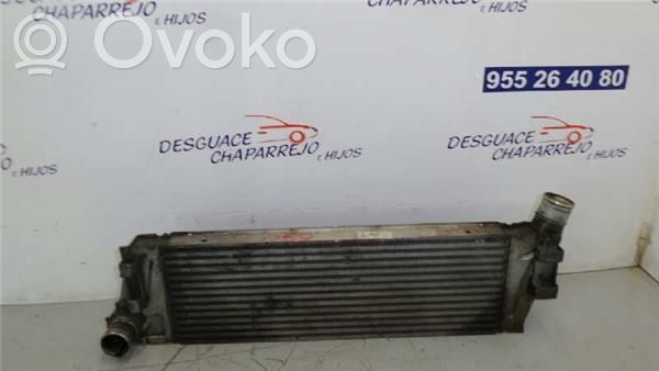 Renault Megane II Radiatore intercooler
