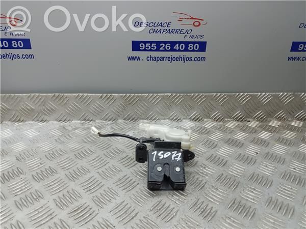 Tailgate/trunk/boot lock/catch/latch   B6701