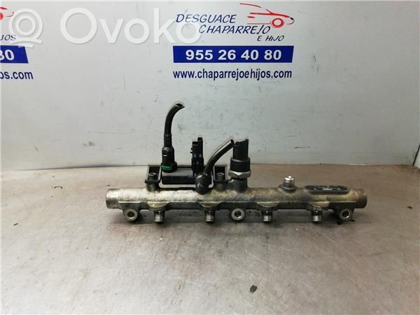 Citroen C5 Rampa inyectora 